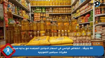 90 جنيهًا.. انخفاض قياسي في أسعار الدواجن المجمدة مع بداية صرف مقررات سبتمبر التموينية